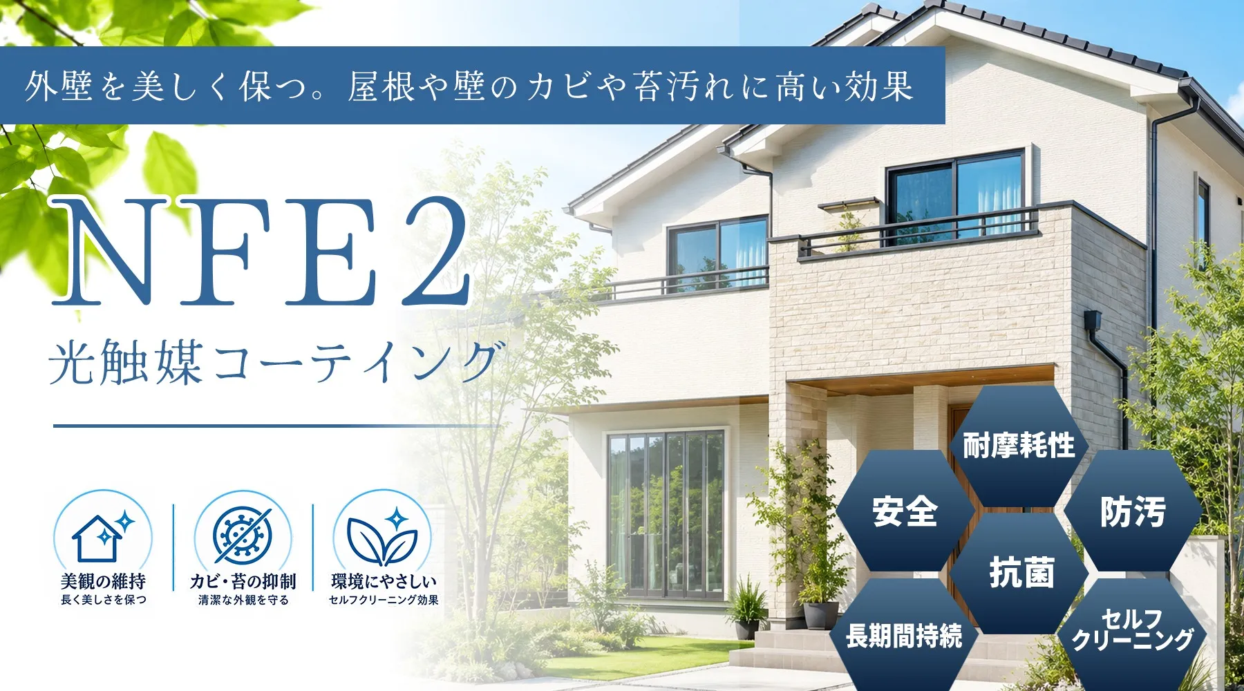 光触媒